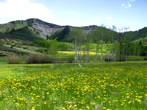 St. Benedict's in Snowmass, Colorado